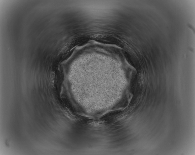 X0000091000664200708241451