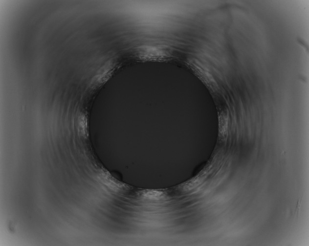 X0000091000669200708241451