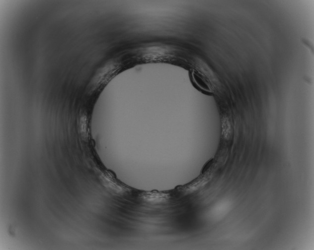 X0000091000670200708241451