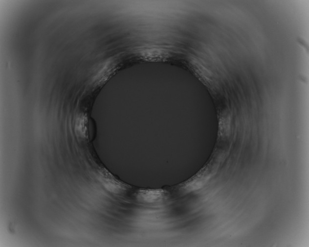 X0000091000671200708241451