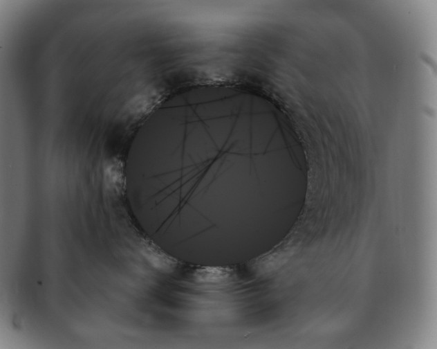 X0000091000672200708241451
