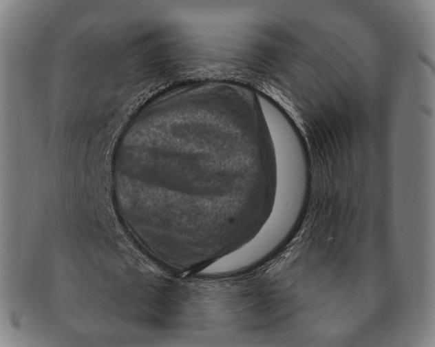 X0000091000673200708241450