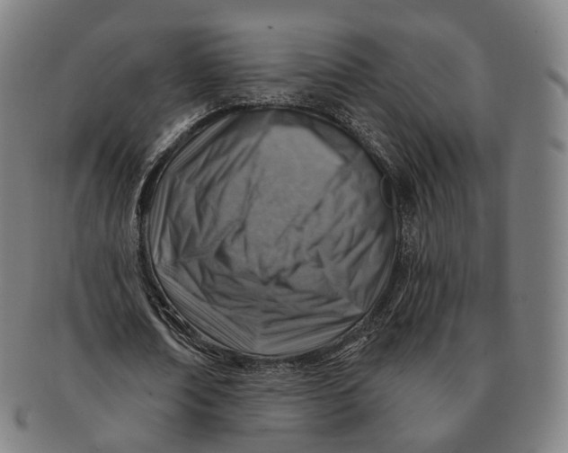 X0000091000674200708241450