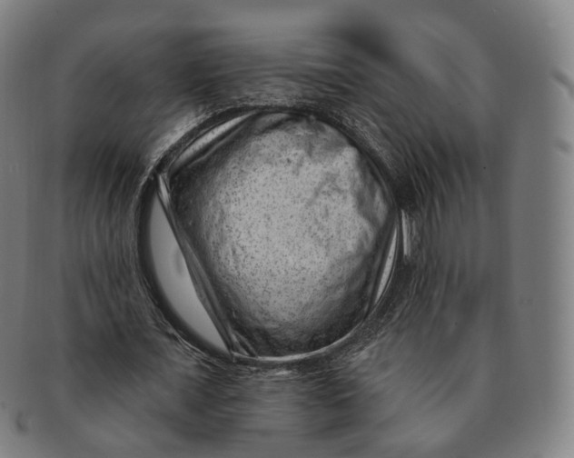 X0000091000675200708241450