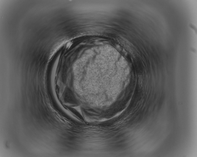 X0000091000676200708241450