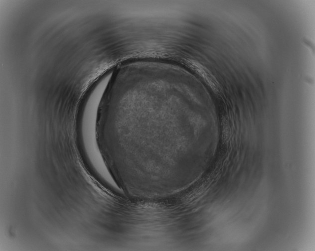 X0000091000677200708241450