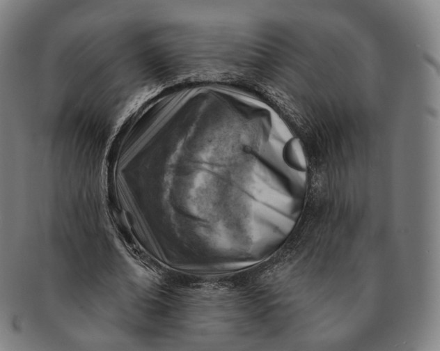 X0000091000678200708241450