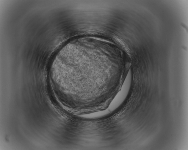 X0000091000680200708241450