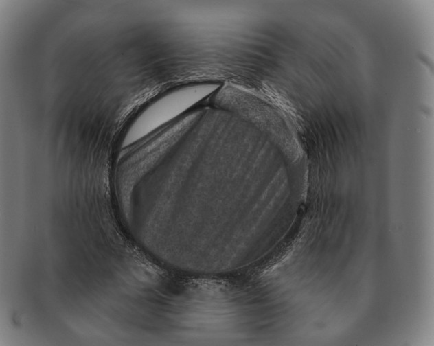 X0000091000681200708241450