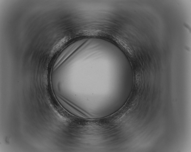 X0000091000682200708241450