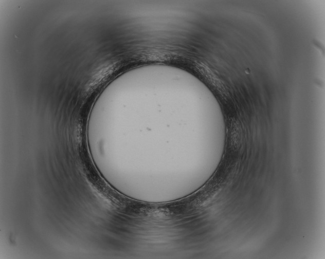 X0000091000683200708241450