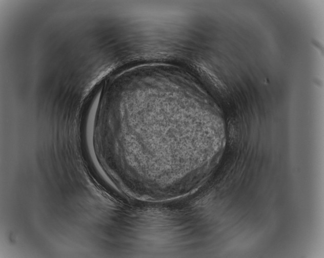X0000091000684200708241450