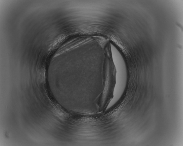 X0000091000685200708241450