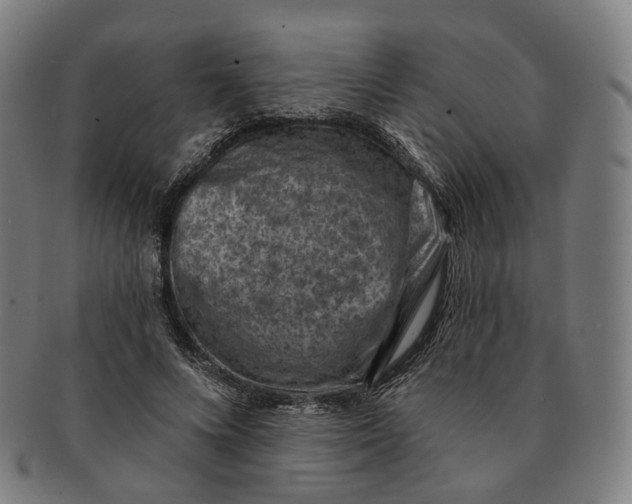 X0000091000688200708241450