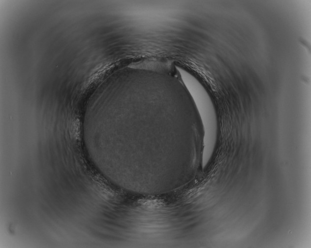 X0000091000689200708241450
