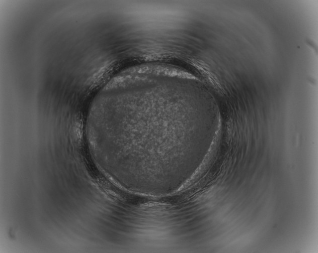 X0000091000691200708241450