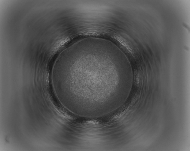 X0000091000692200708241450