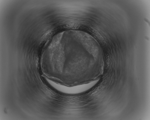 X0000091000693200708241450