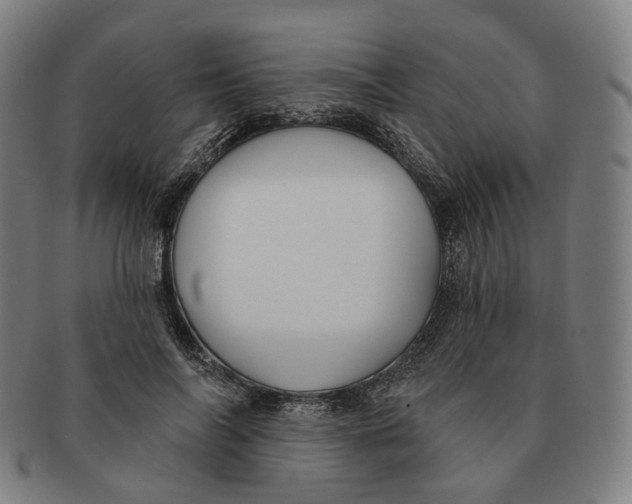 X0000091000694200708241450