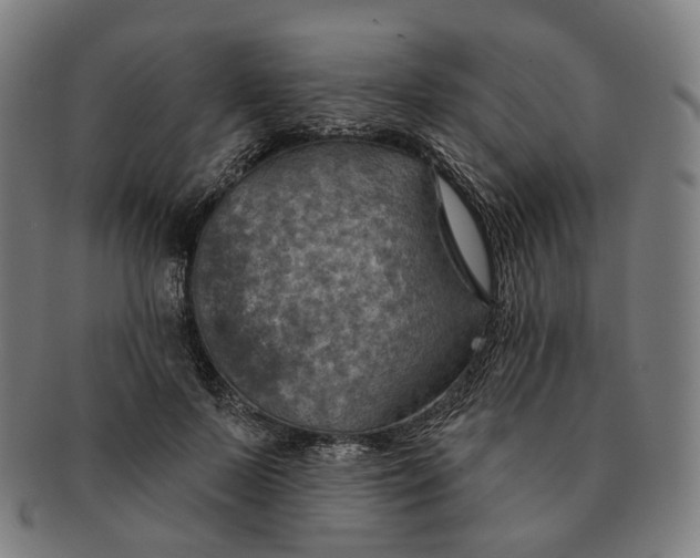 X0000091000695200708241450