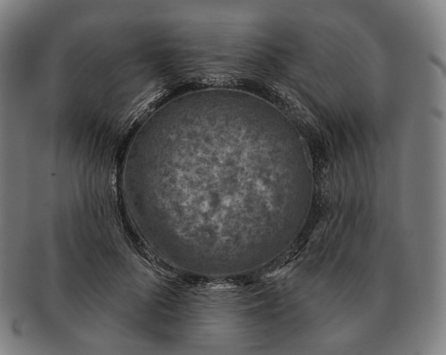 X0000091000696200708241450