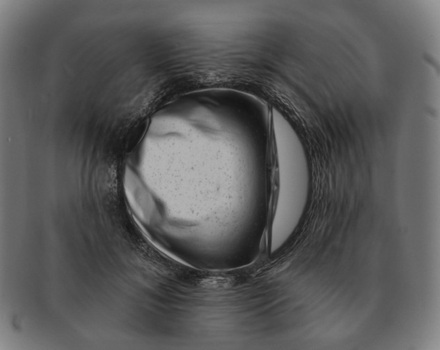 X0000091000700200708241450