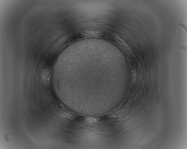 X0000091000701200708241450