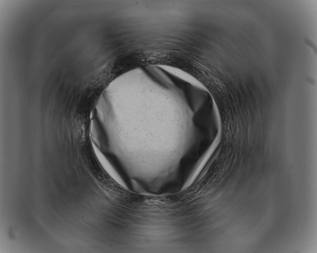 X0000091000703200708241450