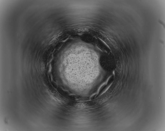 X0000091000704200708241450
