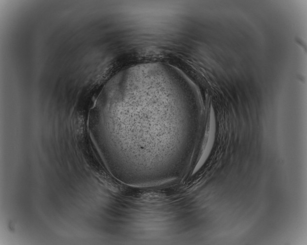 X0000091000708200708241450