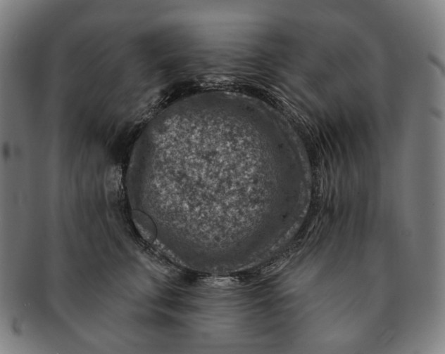 X0000091000711200708241450