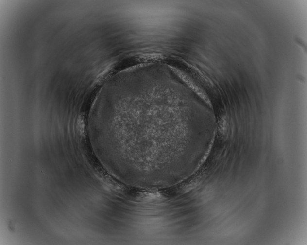 X0000091000715200708241450