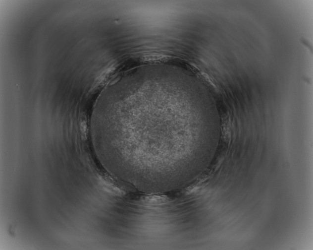 X0000091000716200708241449