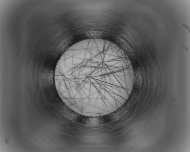 X0000091000717200708241449