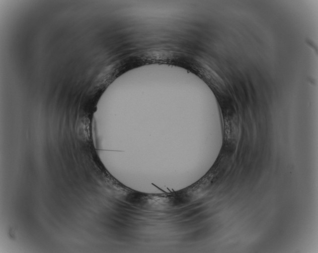 X0000091000718200708241449