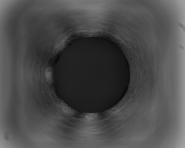 X0000091000720200708241449