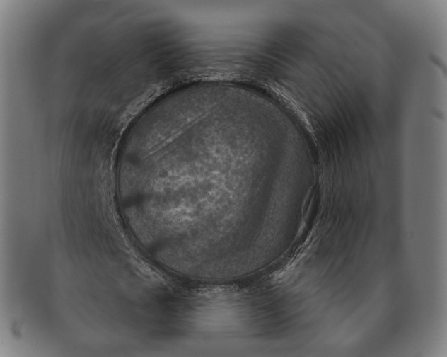 X0000091000721200708241449