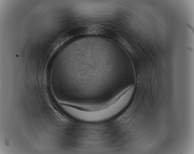 X0000091000722200708241449