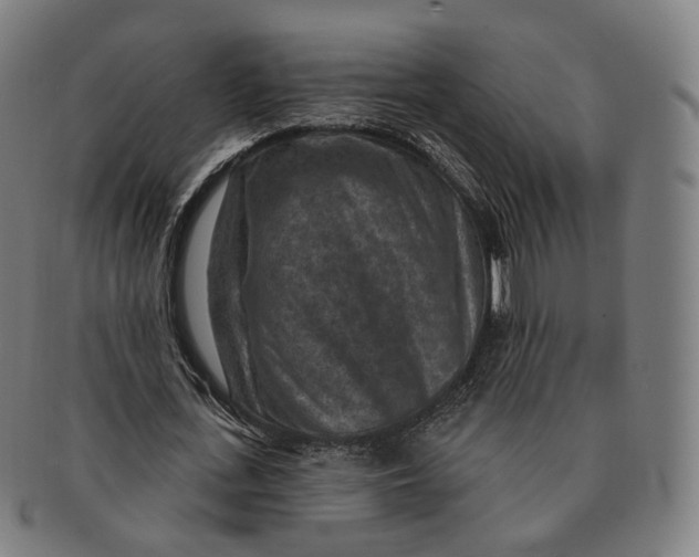 X0000091000723200708241449