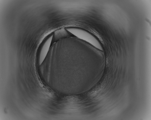 X0000091000724200708241449