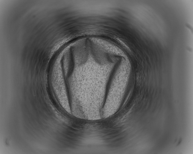 X0000091000725200708241449