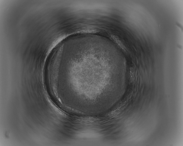 X0000091000726200708241449