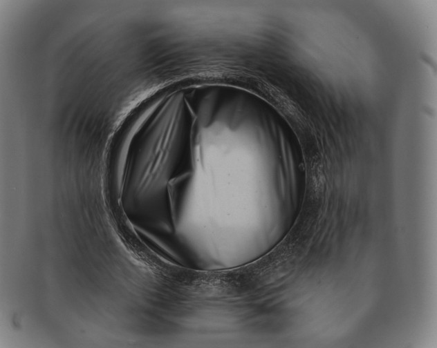 X0000091000728200708241449