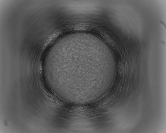 X0000091000731200708241449