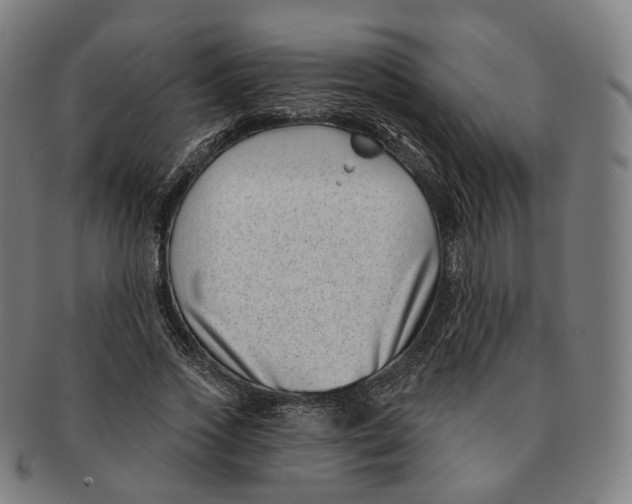 X0000091000733200708241449