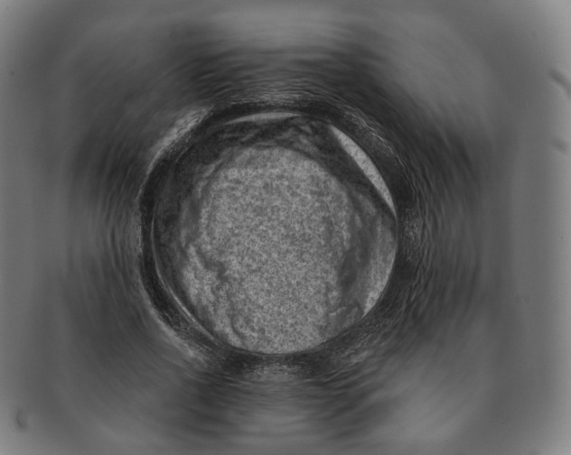X0000091000734200708241449