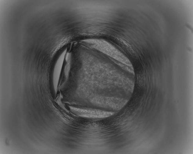 X0000091000735200708241449