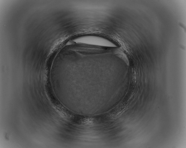 X0000091000736200708241449