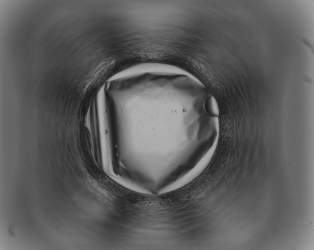 X0000091000738200708241449