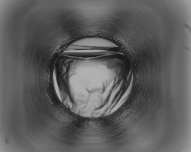 X0000091000739200708241449